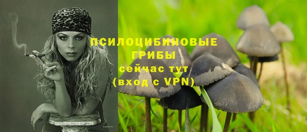 хмурый Балахна