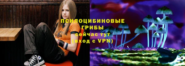 хмурый Балахна